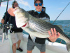 Galilee Rhode Island Striper Charters